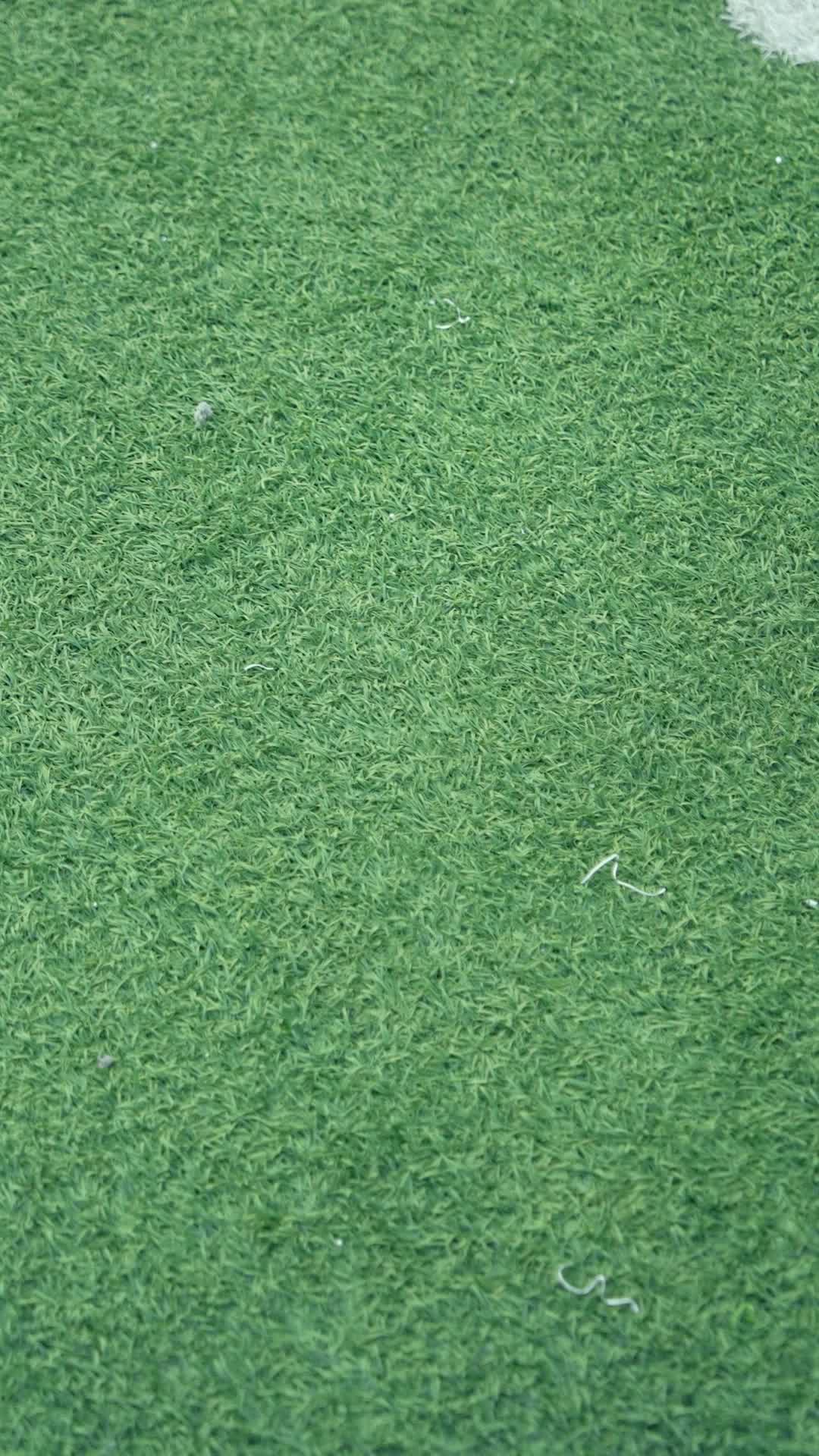 Episode 5 - The Missing Champion